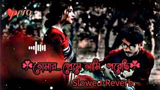 তোমার প্রেমে আমি পরেছি  Tomar preme ami porechi slowed reverb bangla lofi song💛 [upl. by Luapleahcim385]