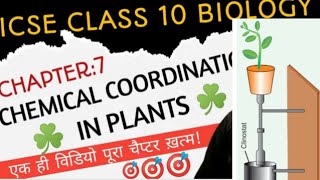 chemical coordination in plants 2 class 10 icse [upl. by Cianca]