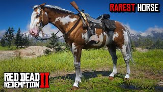 All 4 Rare American Paint Horses Location amp Rankings  RDR 2 [upl. by Tuddor407]