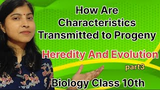 How Are Characteristic Transmitted To ProgenyHeredity And EvolutionPart3BiologyClass10202425 [upl. by Ynove]