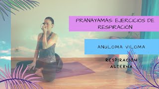 Pranayama Anuloma Viloma Respiración alterna [upl. by Tollmann298]