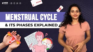 What is The Menstrual Cycle Menstrual Cycle Phases EXPLAINED [upl. by Finella]