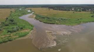 Liwiec ujście do Bugu Mouth of the river drone footage [upl. by Margy541]