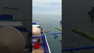 Craziest Fishing EVER Massive Billfish JawDropping Fishing Adventure [upl. by Mannes]