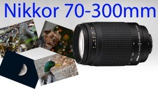 Nikkor 70300mm f456G telephoto lens test [upl. by Yraunaj751]