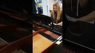 His Majesty The Imperial Trying out Bosendorfer 290 at PianoWorks Atlanta [upl. by Ettenay]