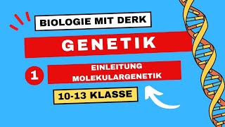 Genetik  1  Einleitung Molekulargenetik Grundbegriffe  10  13 Klasse [upl. by Euk637]