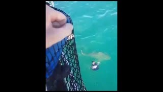 🇳🇨🦈Nouvelle Calédonie  Un marin échappe à une attaque de requin bouledogue shark  18072018 [upl. by Bej]