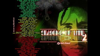 Roots Reggae Mix 2015 DJ Irie Dread Chronixx Kabaka Pyramid Jesse Royal Jah Cure [upl. by Nicolette]