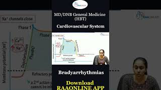 Bradyarrhythmia HBT CVS shorts generalmedicine cardiovascularsystem [upl. by Kant656]