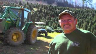 Spry Farms Nursery Landscaping and Christmas Trees Newland NC [upl. by Laureen414]