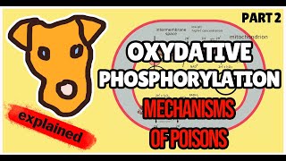 Oxidative Phosphorylation Poisons Biochemistry for Step 1 [upl. by Anihpled697]