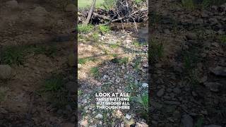 Kentucky Geode Hunting [upl. by Leboff]