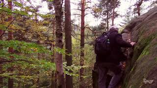 Wanderung Elbsandsteingebirge von der Höllwand zum kleinen Winterberg [upl. by Telrahc]