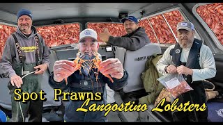 Spot PrawnsShrimp and Langostino Lobster Fishing [upl. by Stranger]