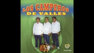 Los Camperos de Valles  El Tepetzintleco [upl. by Adamson]