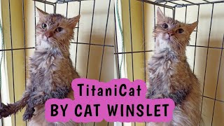 Titanicat  Parody By Snopa The Cat Winslet [upl. by Yesnel899]