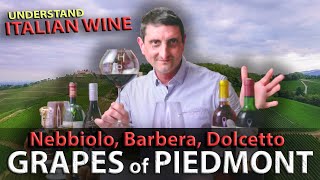 Piedmonts Wine TRILOGY Nebbiolo Barbera Dolcetto  Italian Wine 101 [upl. by Ettenoitna]