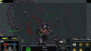 Starcraft Marine Defense 10 Way [upl. by Anitnuahs]