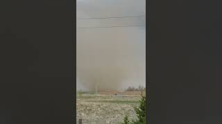 Landspout Forms in Northern Colorado Amid Severe Storms [upl. by Omrellig]