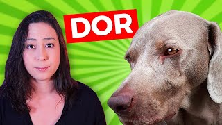 10 SINAIS QUE SEU CACHORRO ESTÁ COM DOR [upl. by Kra]