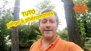 TUTO PIEGES A PHEROMONES CHENILLES PROCESSIONNAIRES pourquoi comment quand on vous répond [upl. by Perdita]