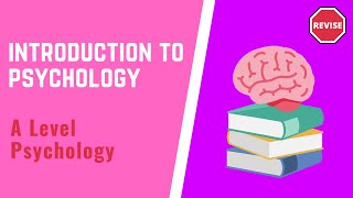 Biopsychology Infradian and Ultradian Rhythms Explained [upl. by Melburn362]