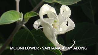 Moonflower  Santana  Backing  music sheet [upl. by Aja]