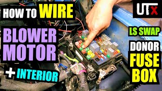 AMPED UP  How to Wire LS SWAP Interior Fuse Panel  BLOWER MOTOR  UTX [upl. by Heid]