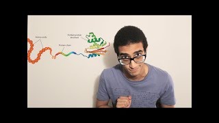 Nucleic Acids  RNA and DNA Structure  Biochemistry [upl. by Shorter]