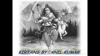 KIRTANS BY ANIL KUMAR VOLUME 24 [upl. by Nnawaj598]