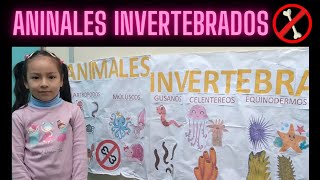 Clasificación de ANIMALES INVERTEBRADOS para niños [upl. by Esylle164]