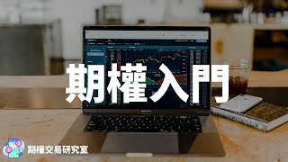 期權教學期權入門 及期權最基本的四款交易方法 [upl. by Steere504]