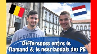 Apprendre le flamand  Les différences entre le flamand et le néerlandais des PaysBas [upl. by Leehar85]