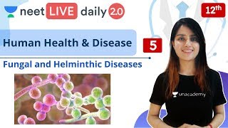 NEET Human Health and Disease  L5  Class 12  Live Daily 20  Unacademy NEET  Seep Maam [upl. by Hterag685]