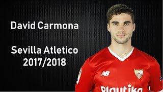 David Carmona  Diamond  Amazing Dribbles Passes Assists and Defensive Skills 20172018 [upl. by Aivatal]