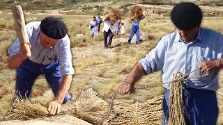 Los ESPARTEROS Transformación de ESPARTO en CUERDAS o SOGUETAS a partir de su mallado y trenzado [upl. by Ijic]