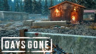 Days Gone  Clear Nests Logging Camp Infestation [upl. by Jarus]