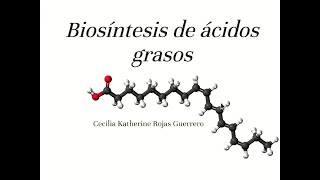 BioquímicaLípidos  Biosíntesis de ácidos grasos  sem 7 URP [upl. by Ennelram616]