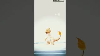 Evolving My Shiny Charmander ✨️ To A Shiny Charizard pokemongo shinycharmander shinycharizard [upl. by Odnam]