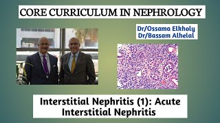 Interstitial Nephritis 1 Acute Interstitial Nephritis DrOssama Elkholy [upl. by Aber]