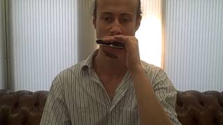 How to play quotLong Train Runningquot on harmonica part 22 [upl. by Marinelli856]