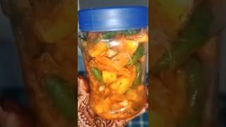 Galgal Adrak Hari mirch ka Achaar🌶️🍋🍋👏🫑yummy shortvideo ytshorts sonavlog03 [upl. by Aihsia]