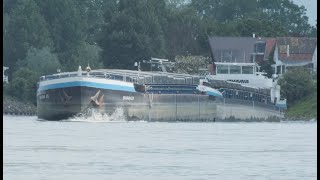 147 Shipspotting Binnenschiffe auf dem Rhein  GMS Linz am Eicher See [upl. by Jacenta]