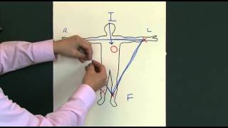 12 Lead EKG ECG [upl. by Alimrahs761]