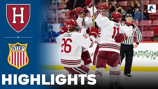 Harvard vs USA U18  NCAA College Hockey  Highlights  October 18 2024 [upl. by Ciri]