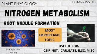 Nitrogen Metabolism  Nitrogen Cycle  Root Nodule Formation  CSIRNET JRF  GATE [upl. by Pietro]