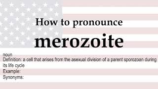 How to pronounce merozoite  meaning [upl. by Anuahc]