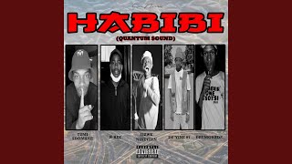 Habibi Quantum Sound feat RBee De’vine 07 Drumonade amp Tumi Sdomane [upl. by Murielle3]