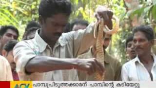 Cobra attacks Vava Suresh Live visuals [upl. by Feodore]